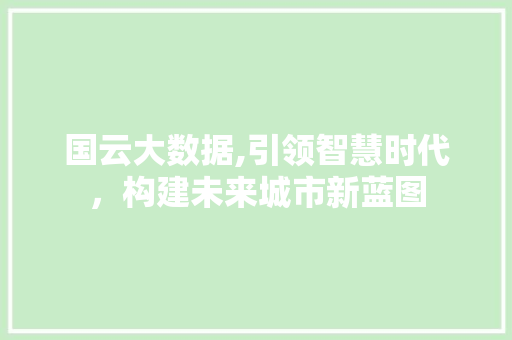 国云大数据,引领智慧时代，构建未来城市新蓝图