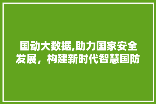 国动大数据,助力国家安全发展，构建新时代智慧国防