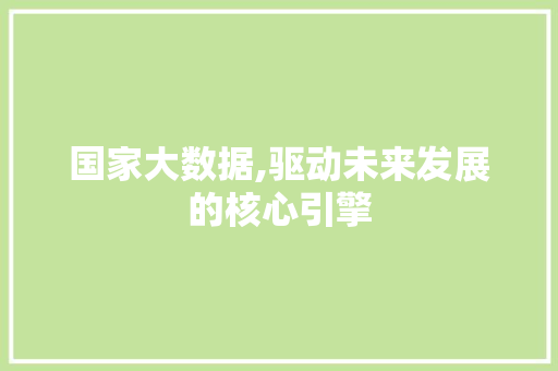 国家大数据,驱动未来发展的核心引擎