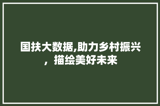 国扶大数据,助力乡村振兴，描绘美好未来