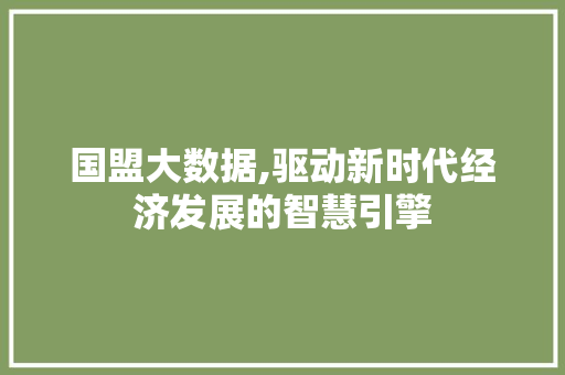 国盟大数据,驱动新时代经济发展的智慧引擎