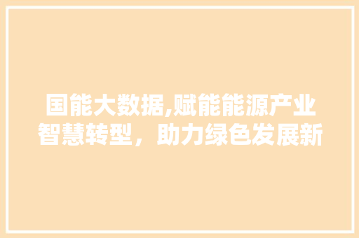 国能大数据,赋能能源产业智慧转型，助力绿色发展新篇章