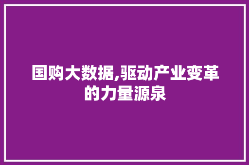 国购大数据,驱动产业变革的力量源泉