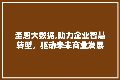 圣恩大数据,助力企业智慧转型，驱动未来商业发展