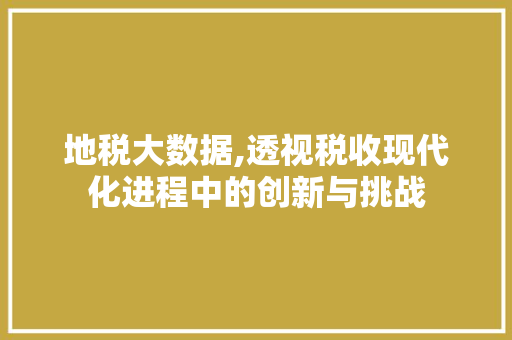 地税大数据,透视税收现代化进程中的创新与挑战