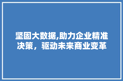 坚固大数据,助力企业精准决策，驱动未来商业变革