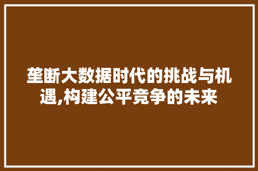 垄断大数据时代的挑战与机遇,构建公平竞争的未来