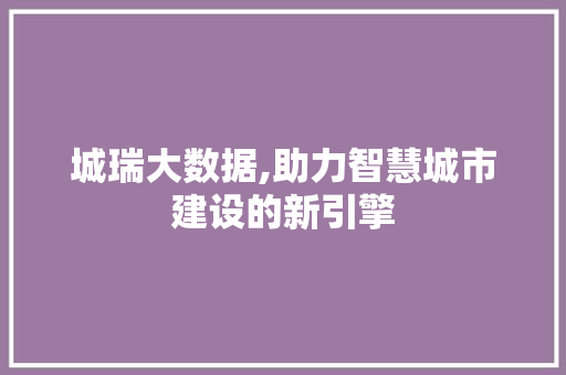 城瑞大数据,助力智慧城市建设的新引擎