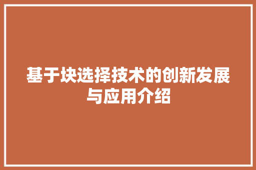 基于块选择技术的创新发展与应用介绍