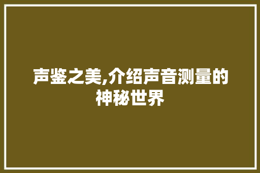 声鉴之美,介绍声音测量的神秘世界