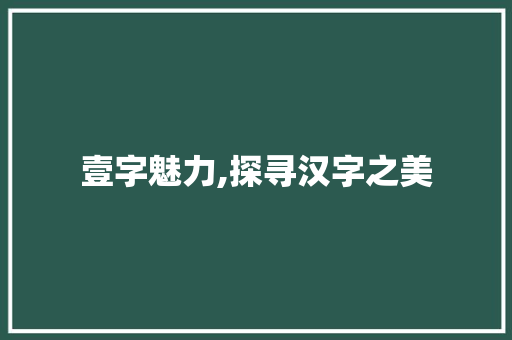 壹字魅力,探寻汉字之美