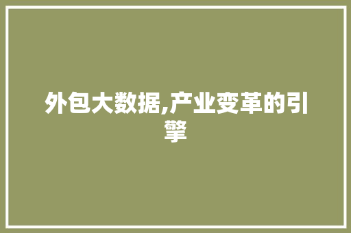 外包大数据,产业变革的引擎