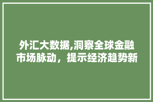 外汇大数据,洞察全球金融市场脉动，提示经济趋势新篇章