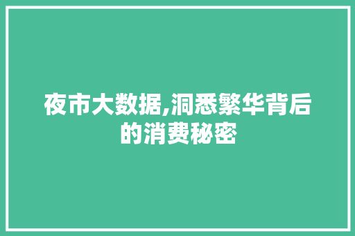 夜市大数据,洞悉繁华背后的消费秘密