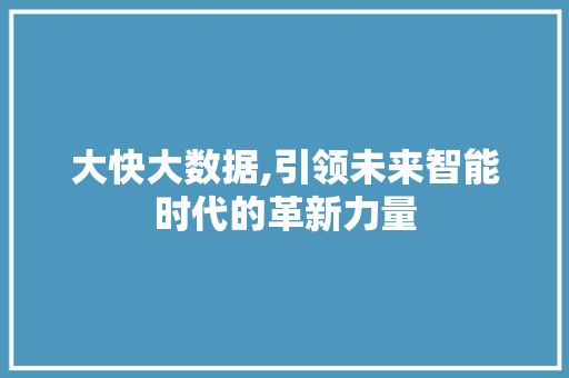 大快大数据,引领未来智能时代的革新力量