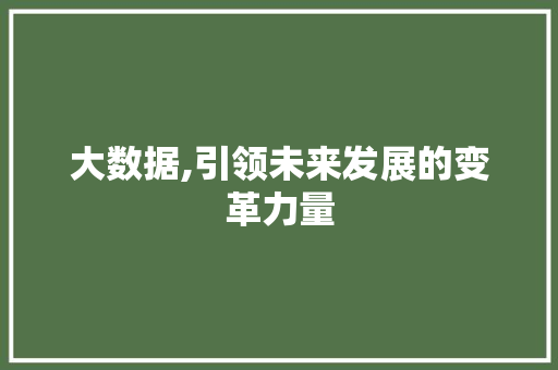 大数据,引领未来发展的变革力量