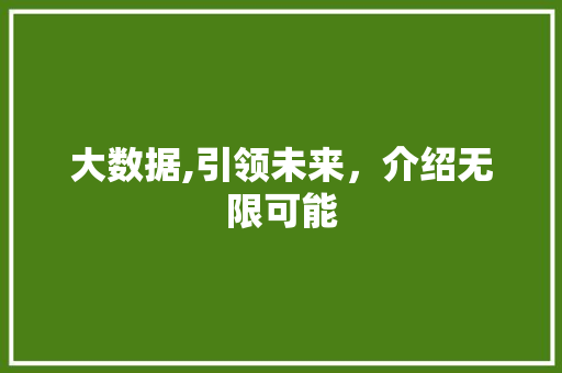 大数据,引领未来，介绍无限可能