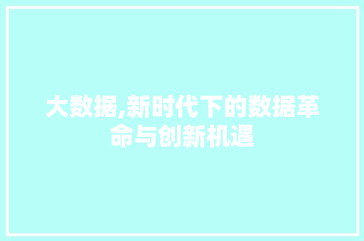 大数据,新时代下的数据革命与创新机遇