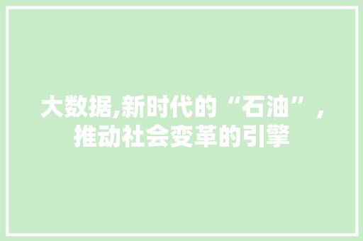 大数据,新时代的“石油”，推动社会变革的引擎