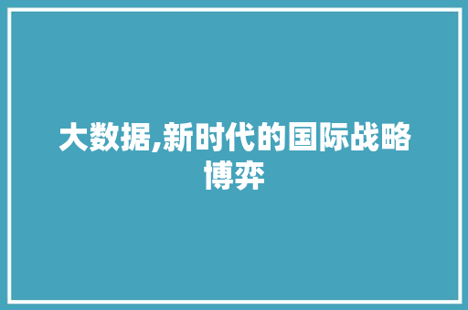 大数据,新时代的国际战略博弈