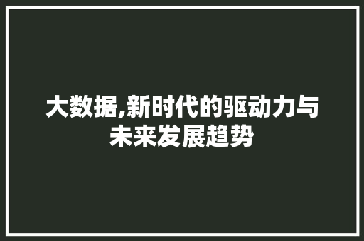 大数据,新时代的驱动力与未来发展趋势