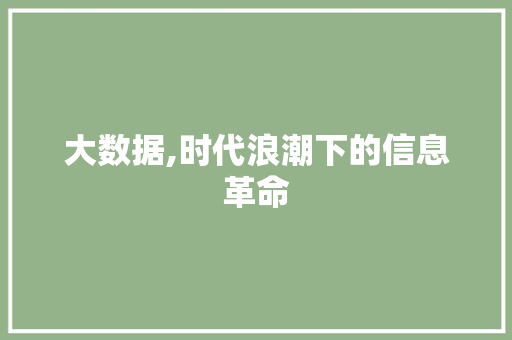 大数据,时代浪潮下的信息革命