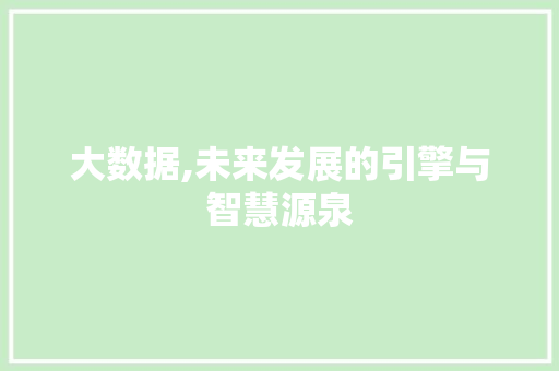 大数据,未来发展的引擎与智慧源泉