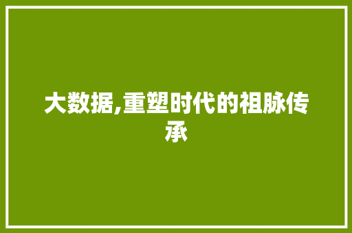 大数据,重塑时代的祖脉传承