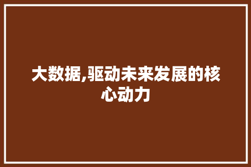 大数据,驱动未来发展的核心动力