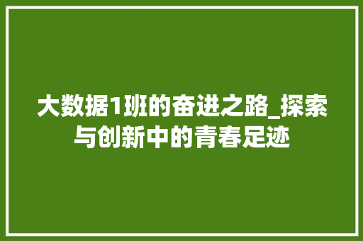 大数据1班的奋进之路_探索与创新中的青春足迹