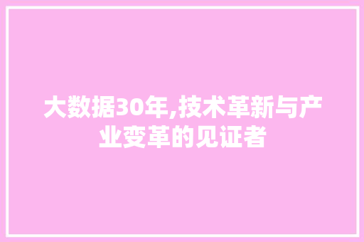 大数据30年,技术革新与产业变革的见证者