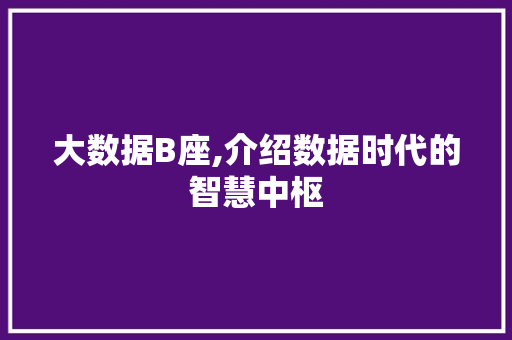 大数据B座,介绍数据时代的智慧中枢