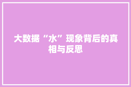 大数据“水”现象背后的真相与反思