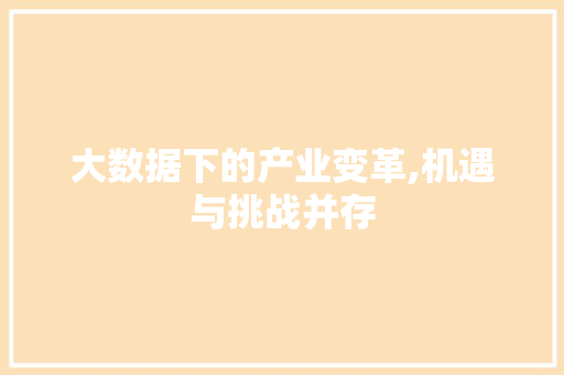 大数据下的产业变革,机遇与挑战并存