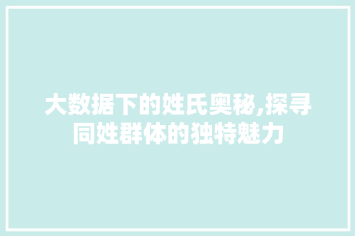 大数据下的姓氏奥秘,探寻同姓群体的独特魅力