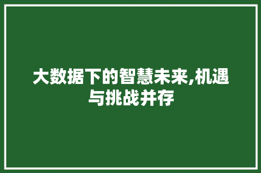 大数据下的智慧未来,机遇与挑战并存