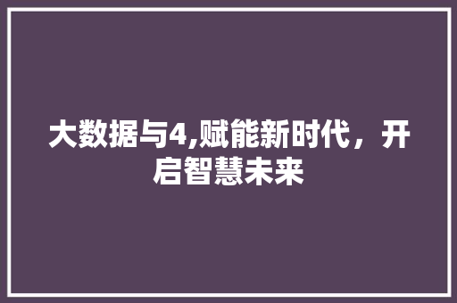 大数据与4,赋能新时代，开启智慧未来