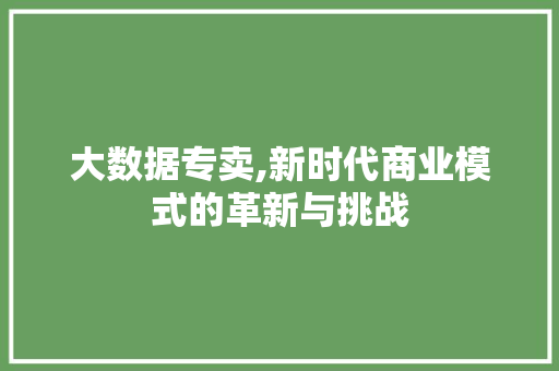 大数据专卖,新时代商业模式的革新与挑战