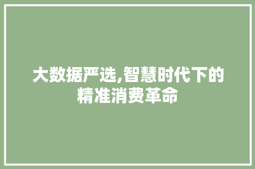 大数据严选,智慧时代下的精准消费革命