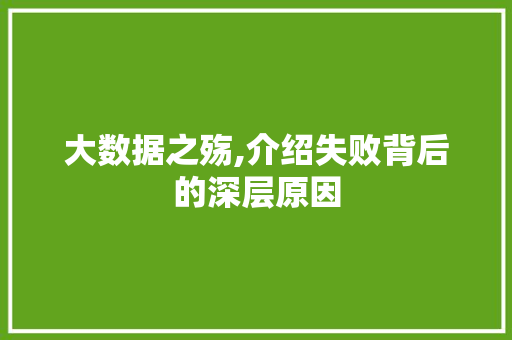 大数据之殇,介绍失败背后的深层原因