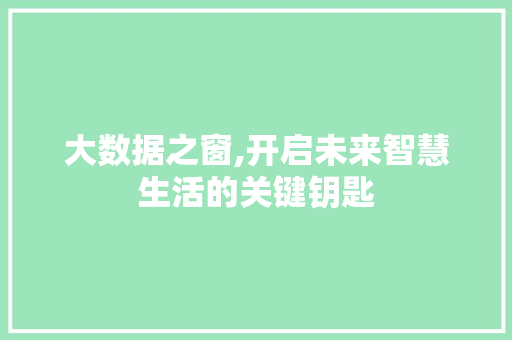 大数据之窗,开启未来智慧生活的关键钥匙