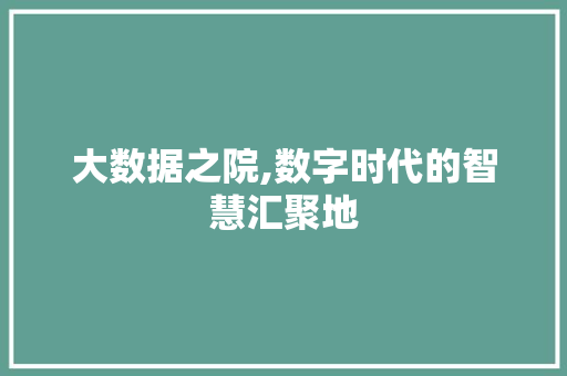 大数据之院,数字时代的智慧汇聚地