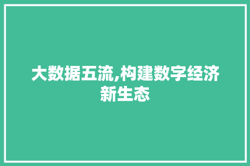 大数据五流,构建数字经济新生态