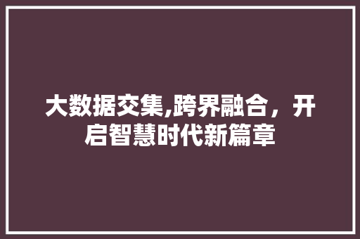 大数据交集,跨界融合，开启智慧时代新篇章