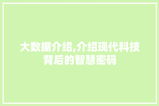 大数据介绍,介绍现代科技背后的智慧密码