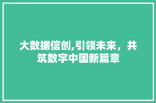 大数据信创,引领未来，共筑数字中国新篇章 PHP