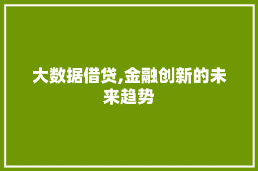 大数据借贷,金融创新的未来趋势