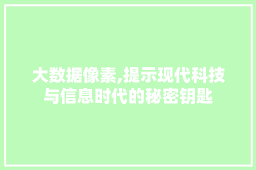 大数据像素,提示现代科技与信息时代的秘密钥匙