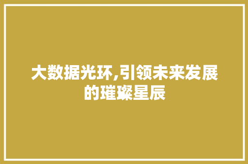 大数据光环,引领未来发展的璀璨星辰