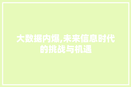 大数据内爆,未来信息时代的挑战与机遇